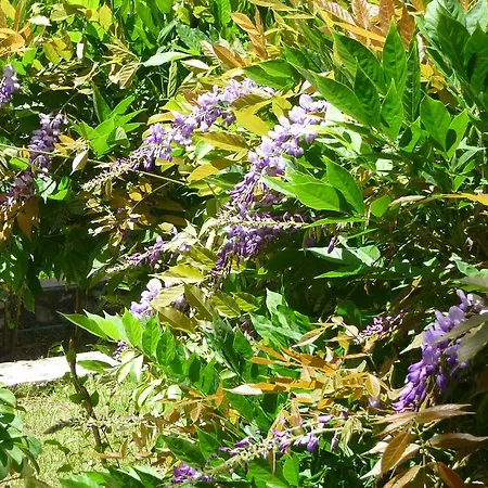 Maritsas Apartment *