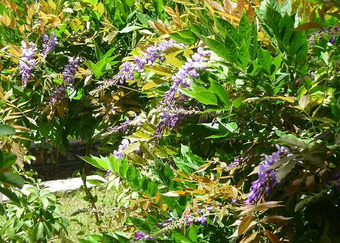 Maritsas アパート *